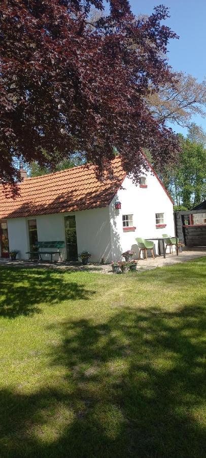 Vakantiewoning 'T Bakhuus Bergentheim ภายนอก รูปภาพ
